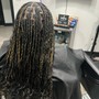 Starter Locs