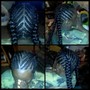 Fishbone Braids