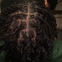 Starter locs