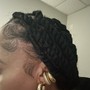 Tree Braids