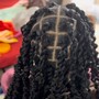 Loc Retwist ( crochet)