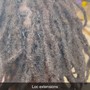 Loc Extensions color