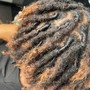 Traditional Loc Retwist (10-50)