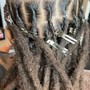 Loc Maintenance (crochet interlocking)