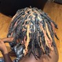 Adult Dreadlocks retwist