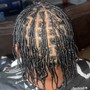 Loc Coils (starter locs)