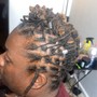 Loc Coils (starter locs)