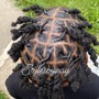 Large Senegalese Twist