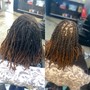 Wash/Retwist W /2StrandTwist (Long/SuperLong)