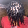 Loc Retwist