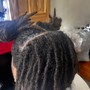 Starter Locs