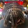 Starter Locs