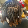 Starter Locs