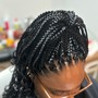 Med/Large Box Braids