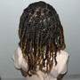 Individual Braids