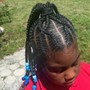 Small Box Braids