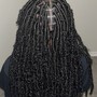 Starter Locs