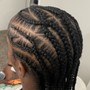 Extended braids on knotless or twist