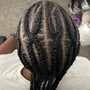 Extended braids on knotless or twist