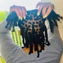 Instant Locs on Natural Hair