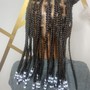 Braids in front + Crotchet in back