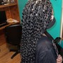 Regular Box braids