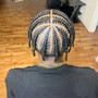 Individual Braids