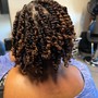 Two Strand Natural Twists