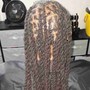 Box Braids (No Weave)