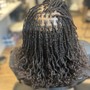 Knotless Senegalese twist