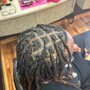 Starter Locs