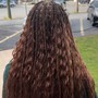 Traditional Box Braids