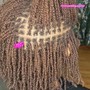 Men's or Woman BOX BRAID PLATS natural hair only