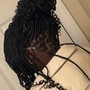 Wash/Retwist/Style