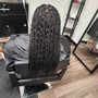 Small Mid Back Senegalese Twist