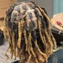 Starter Locs