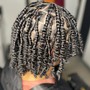 Starter Locs 2strand method