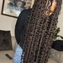 Kid's Box Braids