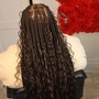 French Curls Braids (Hair Included)