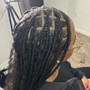 Natural Twists