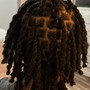 Starter Locs