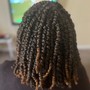 Natural Twists