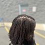 Past Due Sisterlocks TM/ Microlocs Retie