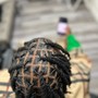 Starter Locs