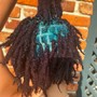 Kinky Twist