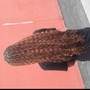 Individual Braids w/ Added Hair