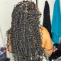 Senegalese Twist (low back) mid back length