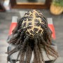 Starter Locs