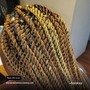 Kid's Feed-in Braids