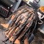 Men Braids including shampoo $80